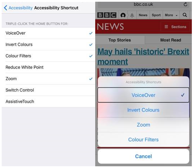 iPhone Accessibility options such as voiceover, inverted colours and zoom. 